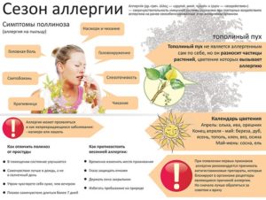 Как остановить чиханье народными средствами. Избавиться от потенциальных аллергенов и раздражителей. Какими могут быть последствия