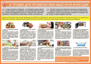 Меры профилактики острых кишечных инфекций. Профилактические меры для предотвращения кишечных инфекций