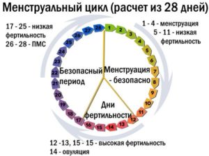 Сколько должен длиться цикл месячных. Какой цикл месячных считается нормальным