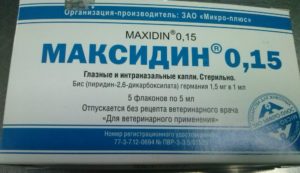 Капли максидин инструкция по применению. Максидин для кошек: инструкция по применению. Максидин для кошек - отзывы