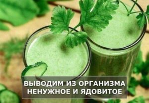 Какие продукты выводят из организма токсины. Как выгнать жидкость из организма для похудения