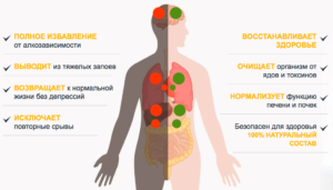 Таблетки для восстановления организма после алкоголя. Как восстановить организм после алкоголя