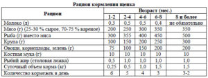 Кормление щенка спаниеля. Рацион щенков, перешедших на самостоятельное питание Чем кормить щенка спаниеля 2 месяца