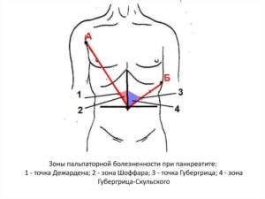 Пальпация по гроту поджелудочной. Точки пальпации поджелудочной железы. Ферментами тонкого кишечника являются