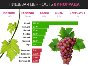 Толстеют ли от винограда: сколько в нем калорий и какое количество ягод можно съедать в день. Можно ли есть виноград при похудении
