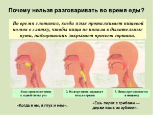 Чем причина когда плохо глотать пищу. Нарушение глотания