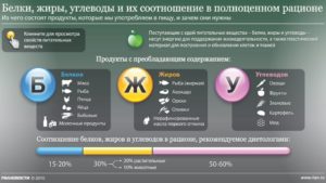 Сколько белков, жиров и углеводов нужно в день. Расчет БЖУ. Соотношение белков, жиров и углеводов: какое БЖУ норма