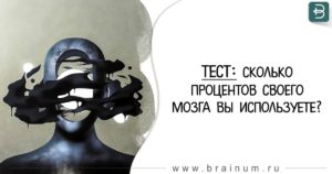 Человек использует свой мозг. На сколько процентов работает человеческий мозг