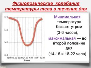 Почему в течение дня меняется температура тела. Причины повышения температуры без симптомов у взрослых. Температура тела у взрослых