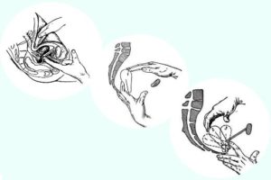Гинекологический массаж: показания и эффективность процедуры. Массаж матки в домашних условиях