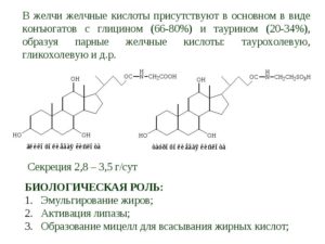 Холевая кислота биологическая роль. Жёлчные кислоты. Роль желчных кислот