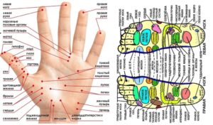 Иглотерапия суджук. Атлас точек на ладони по терапии суджок