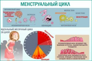 Основные правила во время менструации: что нельзя делать и почему. Изменения во время месячных в женском организме