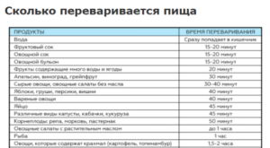 Сколько усваивается арбуз. Как мясо переваривается в желудке