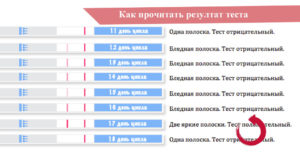 Инструкция по применению теста на овуляцию. Будущим мамам: как определить овуляцию