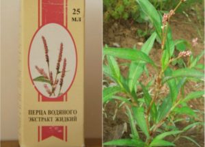 Как использовать экстракт водяного перца для сокращения матки после родов? Водяного перца Экстракт — инструкция по применению