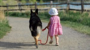 Собаки с которыми надо мало гулять. Существуют ли собаки, с которыми не нужно гулять? Быть или не быть