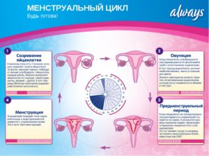 Может ли нарушаться менструальный цикл из-за антибиотиков. Нарушения менструального цикла: как найти и устранить причину Может ли сбиться цикл если