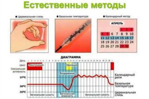 Почему происходит быстрая овуляция у мужчин? Овуляция - что это, как рассчитать дни. Определение овуляции