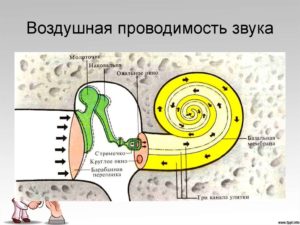 Воздушная проводимость звука. Могут ли навредить слуху