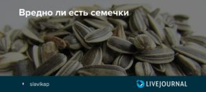 Можно ли поправиться от семечек жареных. Можно ли поправиться или похудеть от семечек? Поправляются ли от семечек тыквы