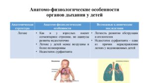 Заболевания органов дыхания у детей. Особенности строения дыхательной системы у детей