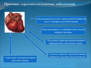 Большое сердце болезнь лечение. Диагноз большое сердце что это такое. Причины роста размеров сердца