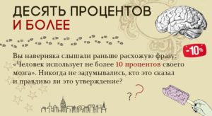 Человек использует свой мозг. На сколько процентов работает человеческий мозг