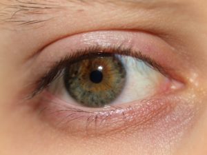 Сухость глаз: причины и лечение народными средствами. От сухости глаз народные средства