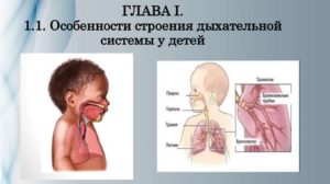 Заболевания органов дыхания у детей. Особенности строения дыхательной системы у детей