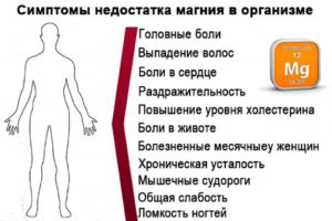 Недостаток магния у мужчин. Обойтись нельзя: как понять, что организму не хватает магния