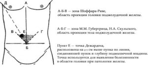 Пальпация по гроту поджелудочной. Точки пальпации поджелудочной железы. Ферментами тонкого кишечника являются