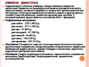 Диастаза мочи. Альфа-амилаза в моче (диастаза) норма. Анализ крови на диастазу. Показатели диастазы мочи в норме. Диастаза мочи норма.