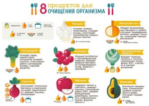 Какие продукты выводят металлы из организма. Как происходит лечение? средств для очищения печени от тяжелых металлов