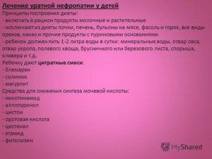 Питание при нефропатии. Диета при нефропатии почек: основные правила питания