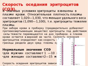 Снижение соэ в крови народными средствами. Как понизить соэ в домашних условиях быстро