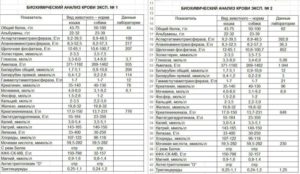Сколько по времени делается развернутый анализ крови. Сколько по времени делается биохимический анализ крови. Через сколько будут готовы результаты гормональных исследований
