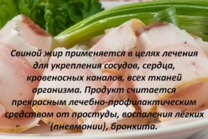 Копченое сало польза и вред. А полезно ли сало для организма – раскрываем мифы и секреты