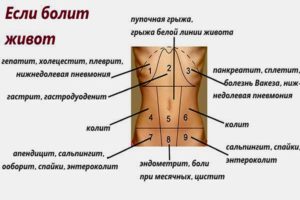 Резкая боль при чихании внизу живота. При чихании боль внизу живота