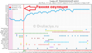 Что значит поздняя овуляция при цикле. Поздняя овуляция: причины. Влияние поздней овуляции на вероятность забеременеть