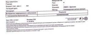 Как сдавать анализы на сальмонеллез: анализ кала и крови, подготовка. Анализ на сальмонеллез