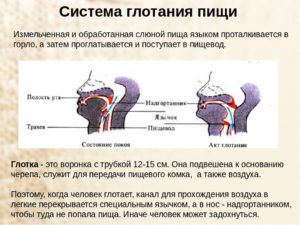 Чем причина когда плохо глотать пищу. Нарушение глотания