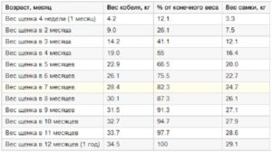 Вес и рост щенка немецкой овчарки по месяцам. Вес щенков немецкой овчарки по месяцам. Как выбрать и чем кормить щенка немецкой овчарки