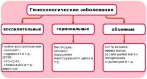 Половые грибковые инфекции. Гинекологические заболевания у женщин: виды, симптомы, лечение, диагностика