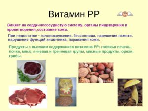 В каких продуктах содержится витамин рр. Витамин PP: чем полезен и где содержится