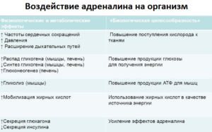 Как уменьшить выделение адреналина в организме. Что вызывает выброс в кровь адреналина? Причины, симптомы, лечение