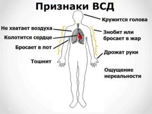 Почему бросает в жар без температуры. Почему при всд часто бросает в пот и жар