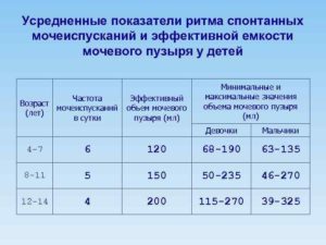 Как определить объем мочевого пузыря у мужчин? Нормы вместимости и восстановление размера. Емкость мочевого пузыря и частота мочеиспускания