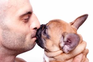 Можно ли целовать собак? Как видит мир собака - и что значат собачьи поцелуи Можно ли целоваться с собаками