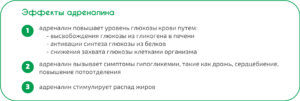 Как уменьшить выделение адреналина в организме. Что вызывает выброс в кровь адреналина? Причины, симптомы, лечение